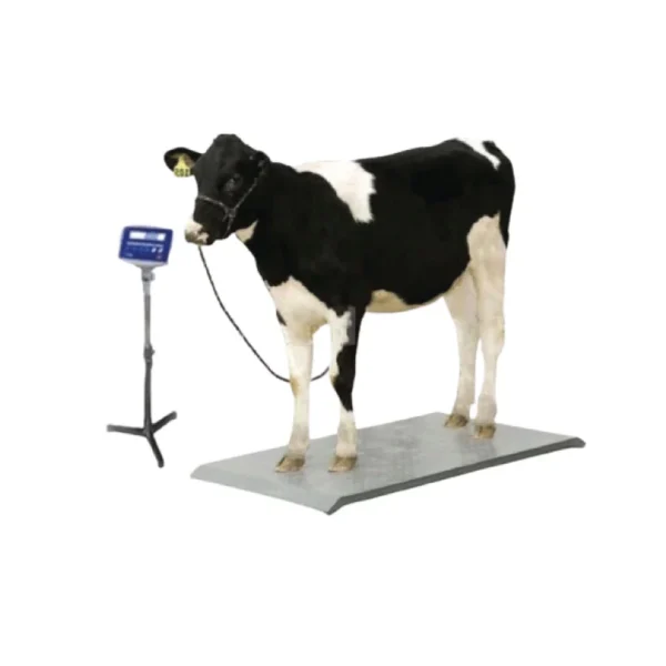 T-Scale 2000KG Animal Cow Weight Scale (TF-1020-2T-M) Price in Bangladesh