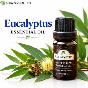 Eucalyptus Essential Oil 10ml by Sagartex Engineering